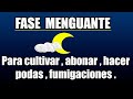 Fases de la luna en la agricultura / Fase lunar para Cultivar, Podar, Abonar, Fumigar, Fases Lunares