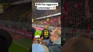 BVB Fan aggressiv unterwegs👀😂 #bvb #borussiadortmund #fcbayern #bayernmunich #bvbbayern04 #kane