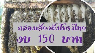 การทำรังผึ้งโพรง หรือ ผึ้งโก๋น กล่องเลี้ยงผึ้งโพรงไทย งบ 150 บาท