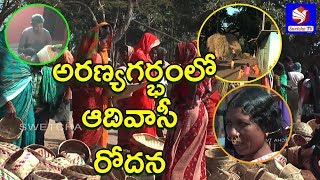 గిరి పుత్రుల అరణ్యరోధన - Swetcha Tv Special Focus on Tribals Problems