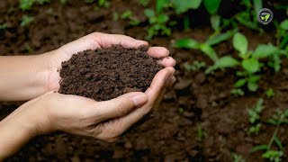 ಸೂಕ್ಷ್ಮ ಪೋಷಕಾಂಶಗಳ ರಸಗೊಬ್ಬರಗಳು | Soil Science