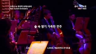 스위스 뉴 취리히 오케스트라 New Zurich Orchestra