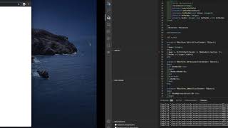 Debug - Log points - TMS Web Core for Visual Studio Code