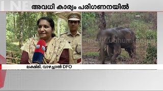 പ്ലാന്റേഷന്‍ പരിസരത്ത് നാളെ അവധി കൊടുക്കുന്ന കാര്യം ആലോചനയില്‍: വാഴച്ചാല്‍ ഡിഎഫ്ഒ | Elephant Rescue