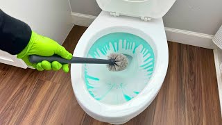 10 Things You Need To Know About Cleaning Your Toilet