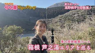 【らく楽ウォーキング】箱根 芦之湯エリア