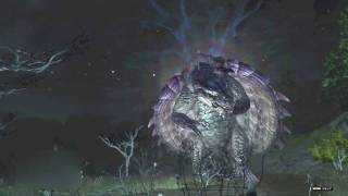 【PS4版】DDON EXM「大地の怒り」野良PT ２分３８秒