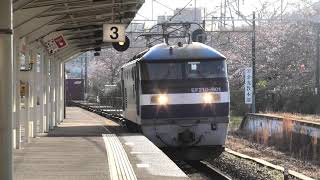 クマイチ 【4K】山陽本線 下り 貨物列車 2075レ EF210-901号機 試作機 電気機関車牽引 コンテナ貨物 JR貨物 岡山機関区 金光 2020.3.29 M1360007