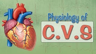 Easy Physiology | C.V.S | Cardiac Cycle