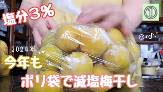 ➀【減塩梅干し】【塩分３％】ポリ袋で今年も作るど♫