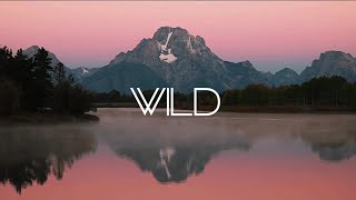 WILD (Audio)