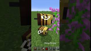 Minecraft Starter Honey Farm #minecraft  #shortsfeed #minecraftshorts