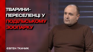 Як переживають зиму тварини в Подільському зоопарку?