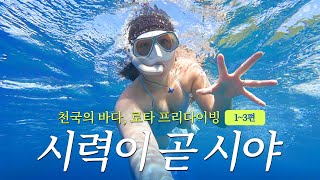 로타 여행, 이 영상으로 끝🏝️지상낙원, 로타 프리다이빙 여행기[전편 몰아보기]