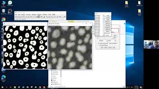 Introduction to Image Analysis with ImageJ : Segmentation Threshold