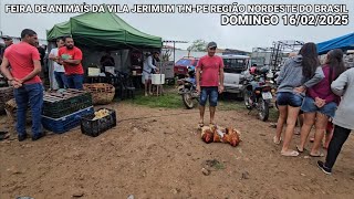 FEIRA DE GALINHAS DA VILA JERIMUM T.N-PE 16/02/2025