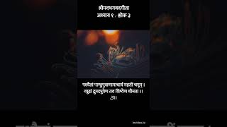 1:3 श्रीमदभगवदगीता || अध्याय १:श्लोक ३ || Shrimad Bhagwad Gita chapter 1 Verse 3 (Hindi Audio)