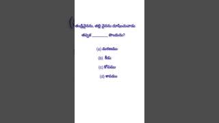 Bible query on Matthew (మత్తయి సువార్త).