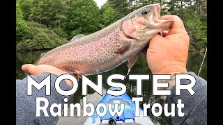 Epic trout fishing. PB Rainbow Trout