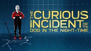 UofSC's The Curious Incident of the Dog in the Night-Time  |  Director Interview