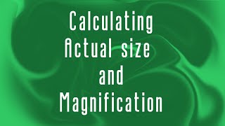 Calculating Actual size and Magnification | Topic 1.1