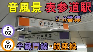 【音風景】表参道駅5・6番線＜銀座線(B線)・半蔵門線(A線)＞(2022.12.24)【駅環境音】