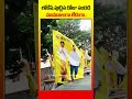 నారా లోకేష్ పుట్టిన రోజు సందడి shorts hbdnaralokesh yuvagalam appolitics naralokeshbirthday