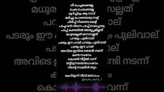 Nee Chechalakalle.#malayalamlyrics #songlyrics #trending #malayalam #viralsong #love #shorts #lyrics