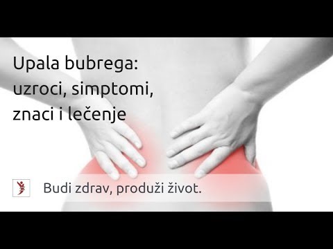 Upala Bubrega: Uzroci, Simptomi, Znaci I Lečenje - YouTube