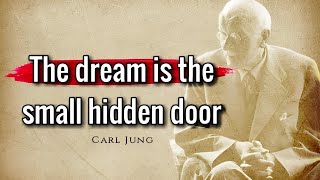 CARL JUNG'S Life Lessons To Successful Life (Motivational Quotes)