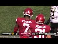 arkansas pine bluff golden lions vs. arkansas razorbacks full highlights