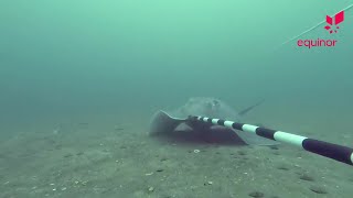What lies beneath?