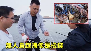 小漁無人島趕海像是撿錢，遍地螃蟹，青口撿不完，太過癮賺翻了【漁小仙 】