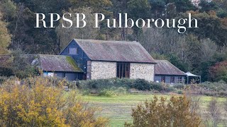 Wildlife Photography | A Guide To  RSPB Pulborough Brooks