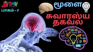 நமது மூளை  எப்படி பட்டது? பாகம்-1