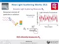 absolute biophysical characterization with mals and dls wyatt technology