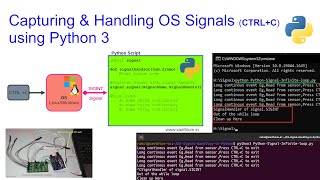 Capturing and Handling Operating System signals like SIGINT (CTRL-C) ,SIGBREAK in Python 3 Tutorial