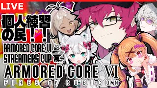 【Steam版AC6/シングルランクorカスタム】 #ASCup アウトプットの民！【野端つくし/Vtuber】