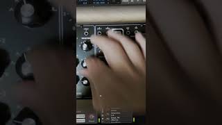 Behringer Model D - Great Melodic LEAD SHORT