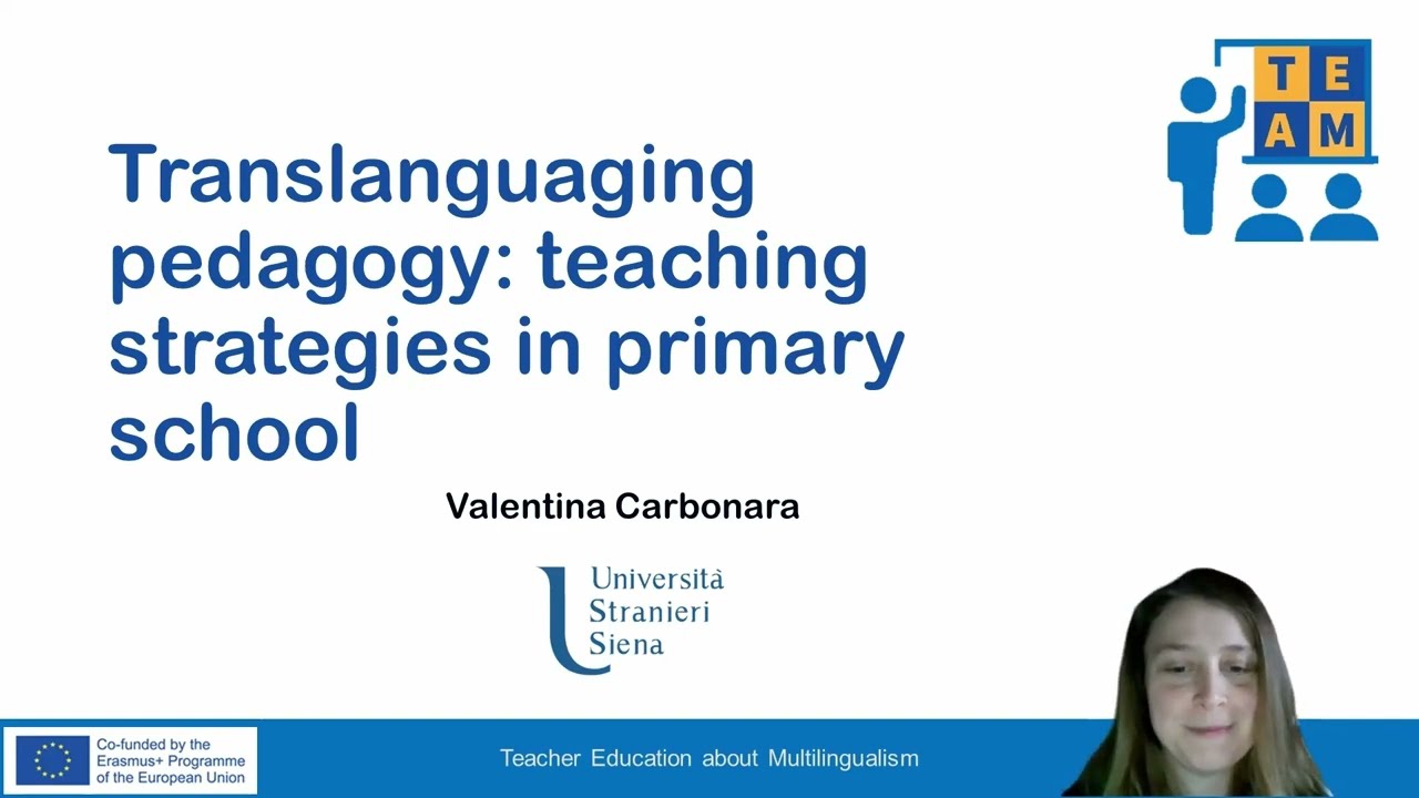 2.4.2.2. Translanguaging Pedagogy Teaching Strategies In Primary School ...