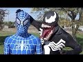 Spiderman and Superheros vs Dark Forces Part 01 | Spiderman videos