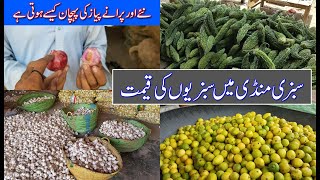 Biggest Vegetables Wholesale Market Karachi/کراچی سبزی منڈی قیمت Sabzi Mandi and Rates of Vegetables