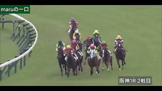 クロニクルノヴァ 2戦目　　　　　　2歳未勝利 芝 1600m 阪神競馬場 1R 9:55