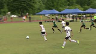 240609 진안홍삼배전국유소년축구대회 8강전 JLFC VS 전북현대유소년 U10 전반전