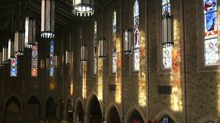 LIVE: Christmas Day Mass at St. Joseph's Cathedral Basilica