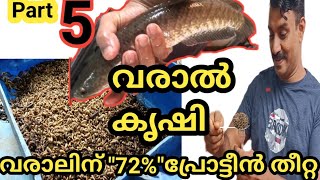 BSF LARVAE'S UPCOMING BIG PROJECT IN KERALA ||ഈ ഈച്ച ഇനി കേരളം കീഴടക്കും ബിഎസ്എഫ് ||A TO Z ABOUT BSF