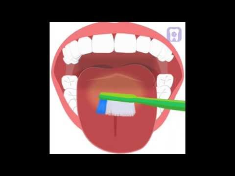 How to brush your teeth, flossing and tongue cleaning How to brush your teeth, flossing and tongue cleaning