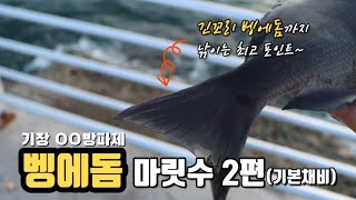 [제58화] 기장은 지금 벵에돔의 활성도가 제일 좋은 시기(feat.도보낚시)