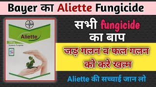 Bayer Aliette Fungicide ।। Aliette Fungicide ।। Aliette । Best fungicide ।। जड़ गलन का ईलाज