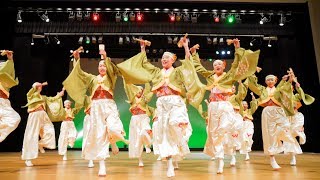 [4K] よさこいおおきに　堺よさこいかえる祭り 2018 (中央)